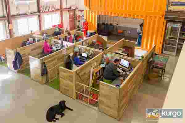 Kurgo - офіс в якому люблять собак. Фото 2